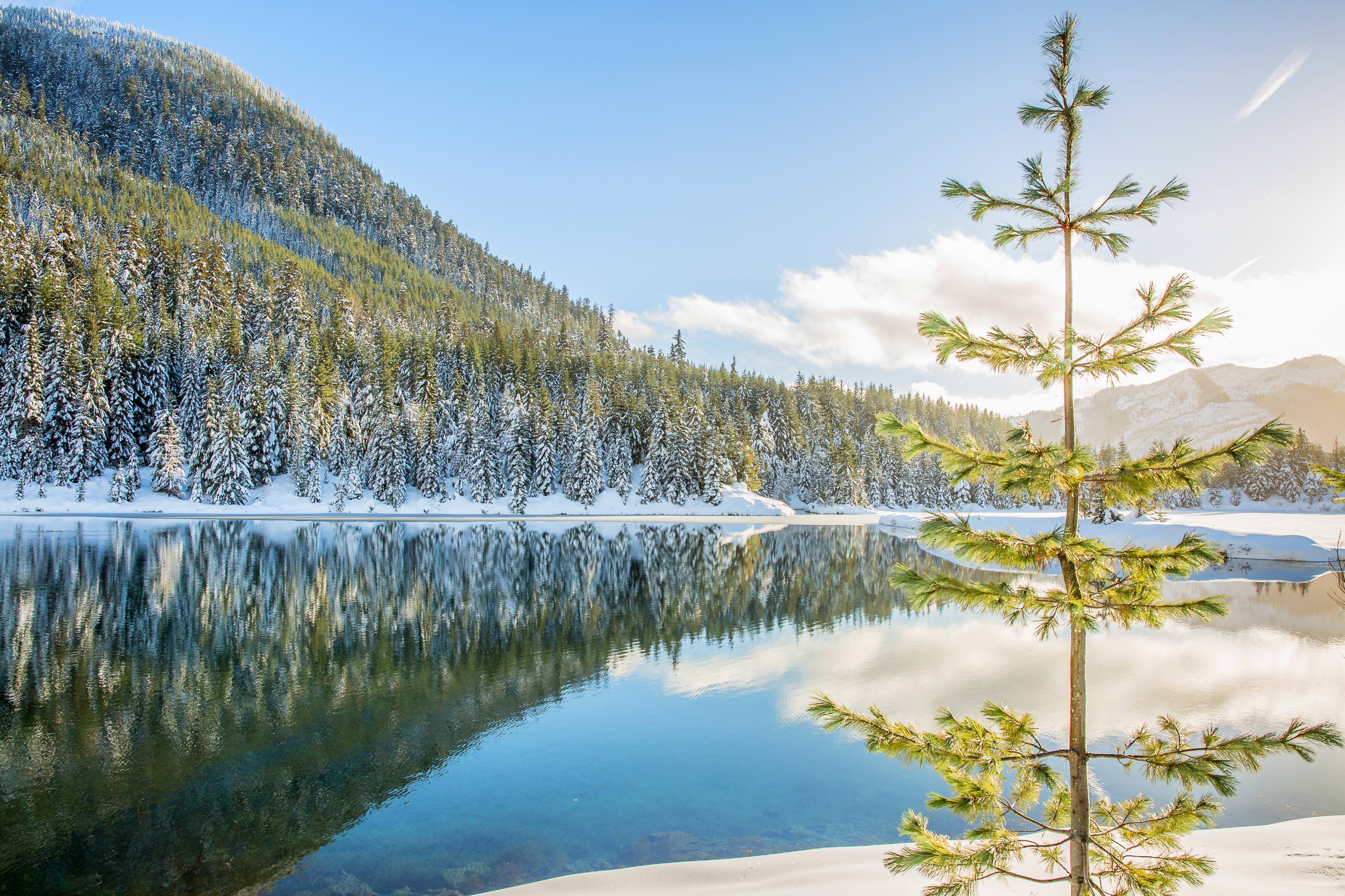 Gold Creek Pond, Washington