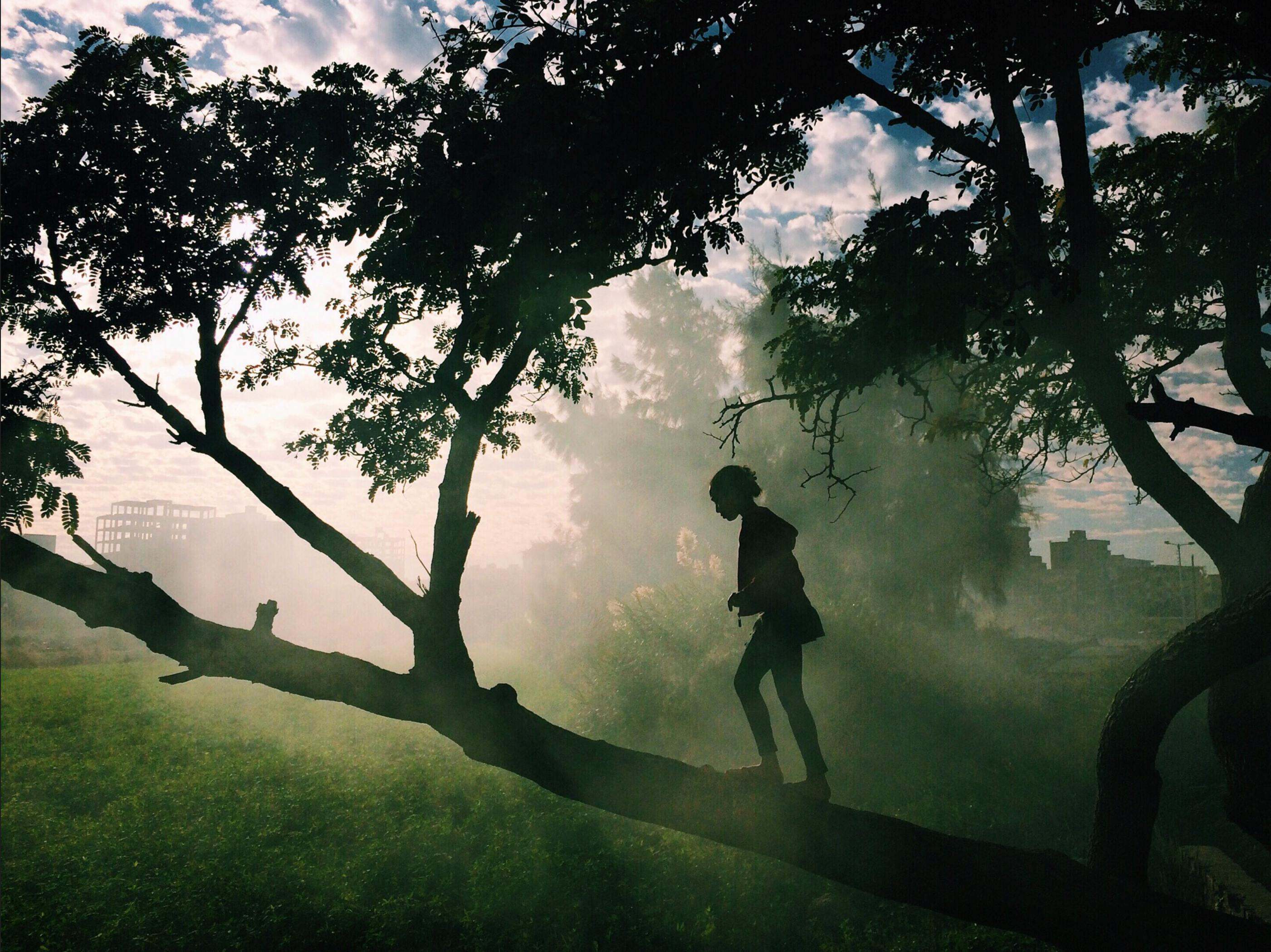 A girl stands on a tree branch in the smoky air near a city in Egypt.