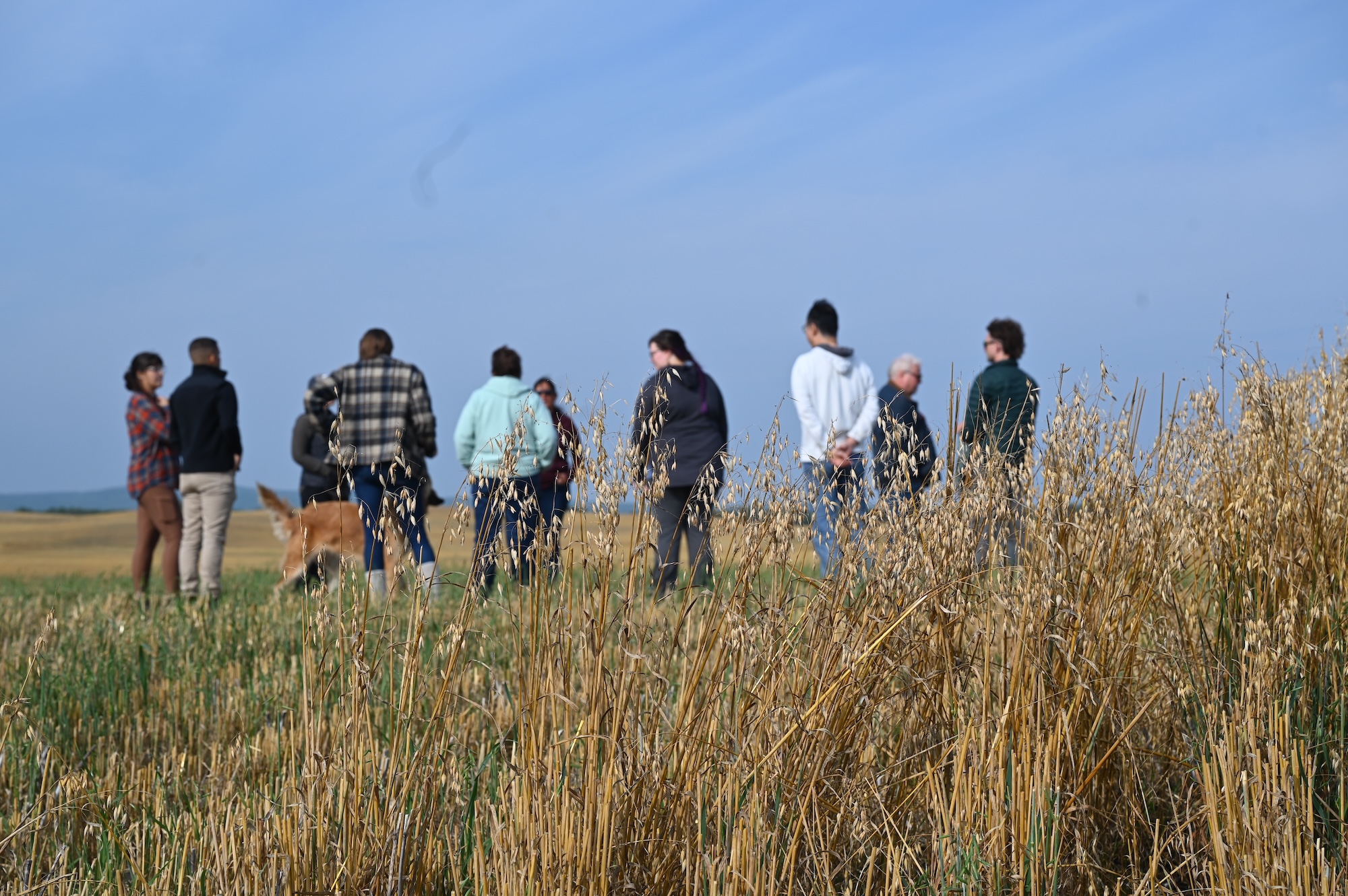 People gathered in a agricultural field to learn about crops.