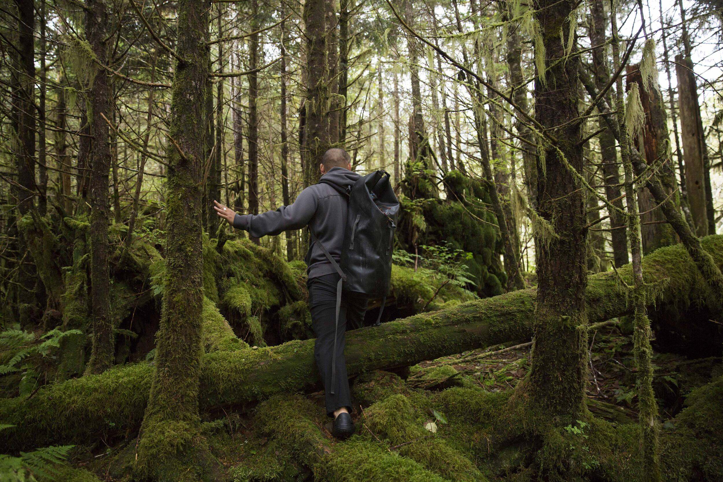 Person walking through a forest.