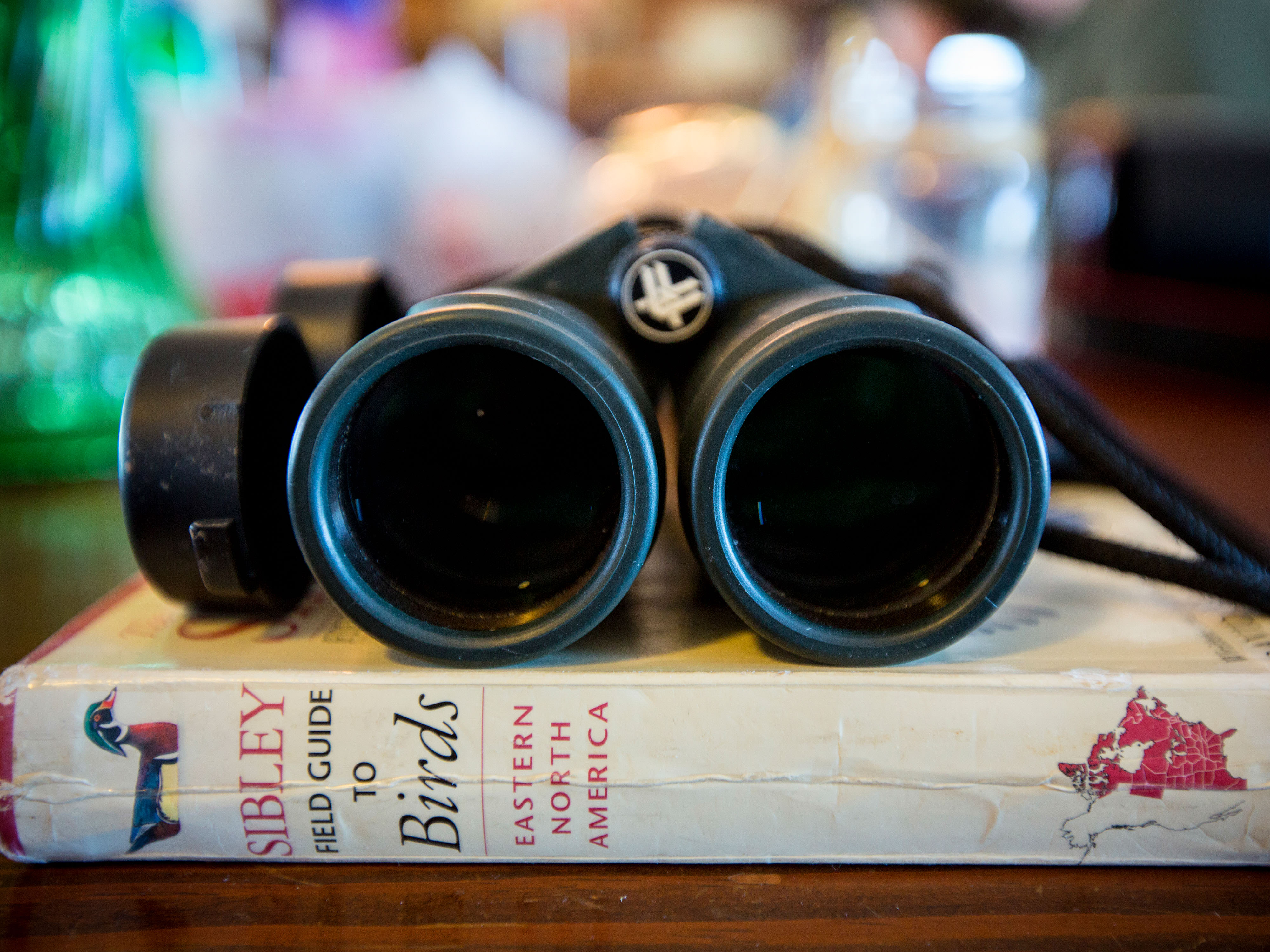 Binoculars sitting on a book about birding. 