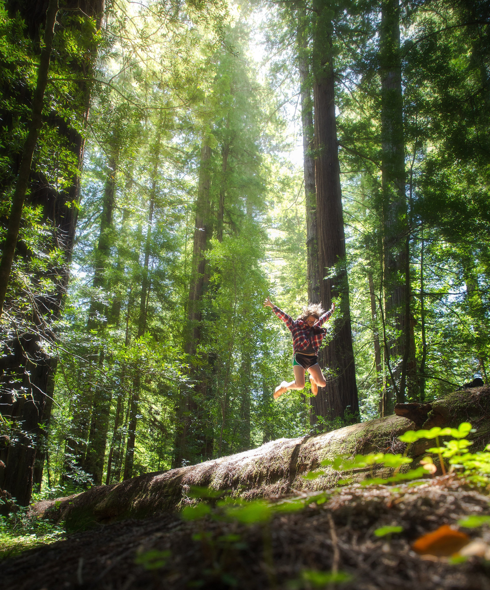 Person jumping in the forest. 